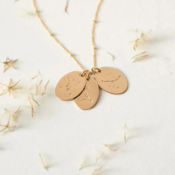 Pisces Zodiac Minimalist Charm Oval Disc Necklace - Picture 8 of 11